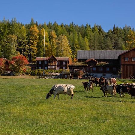 Romenstad Hytter Rendalen Bagian luar foto