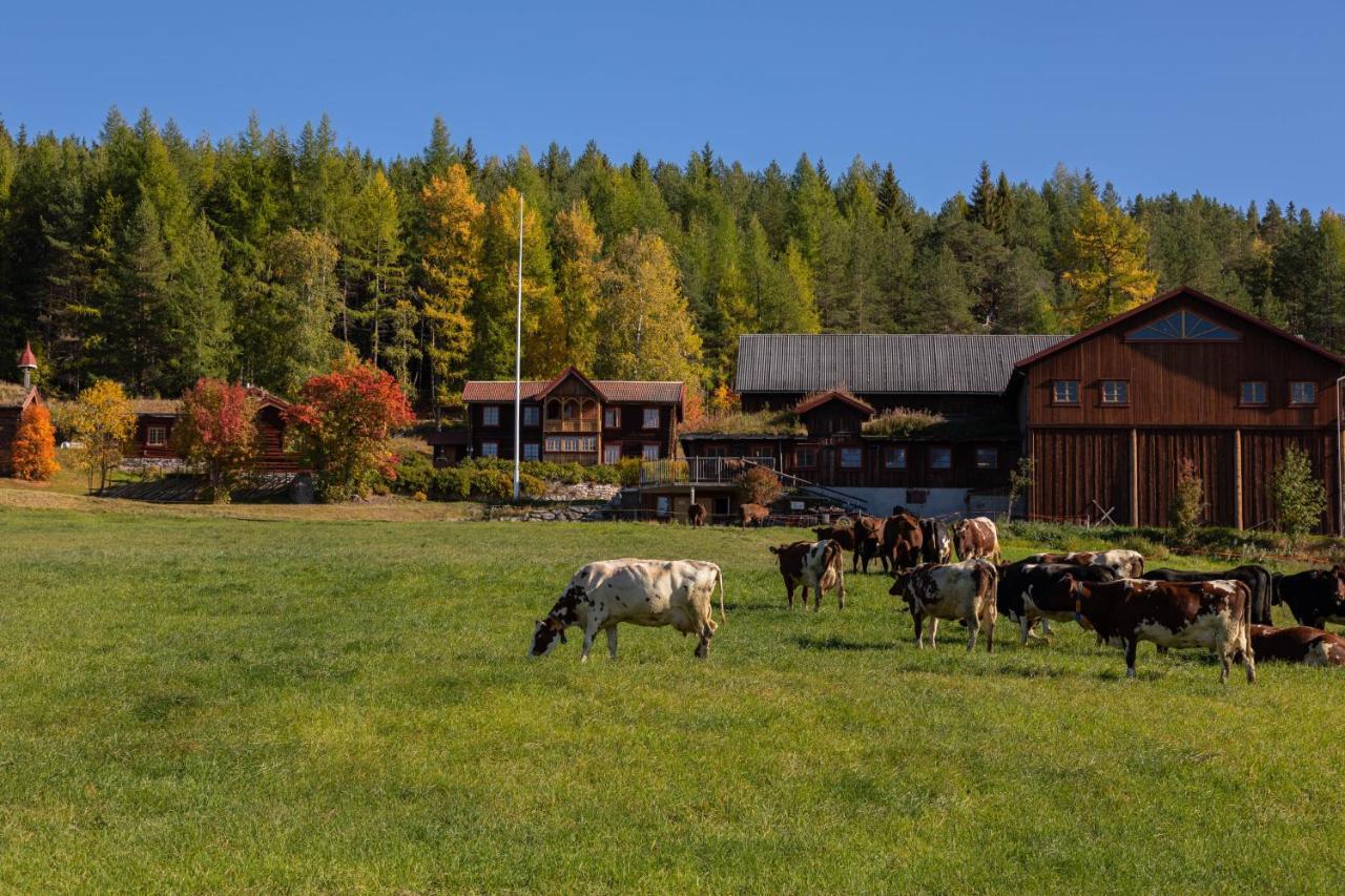 Romenstad Hytter Rendalen Bagian luar foto
